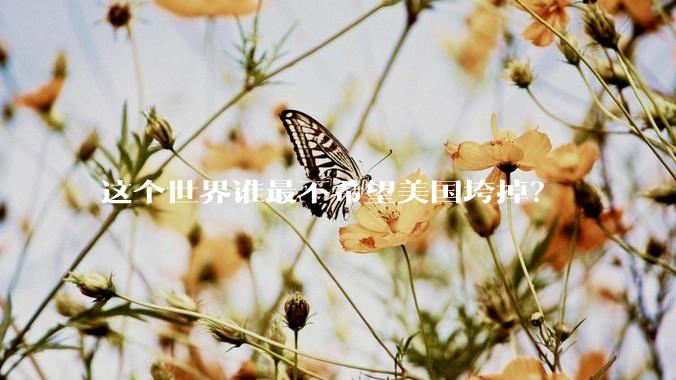 这个世界谁最不希望美国垮掉？
