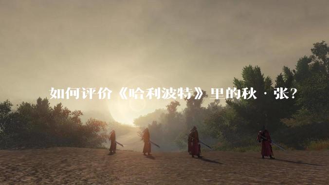 如何评价《哈利波特》里的秋·张？