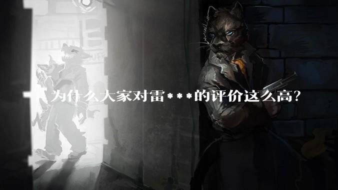 为什么大家对雷***的评价这么高？